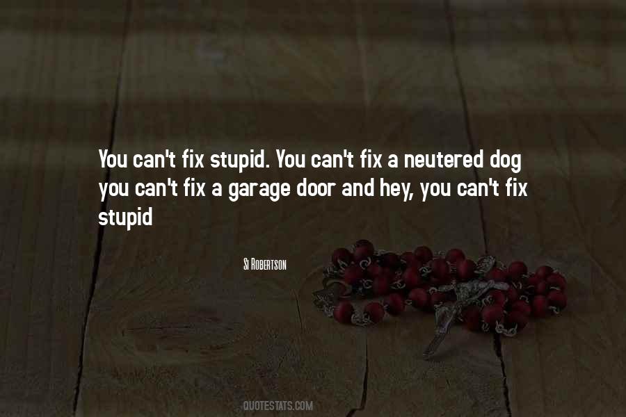 Can't Fix Stupid Quotes #598115