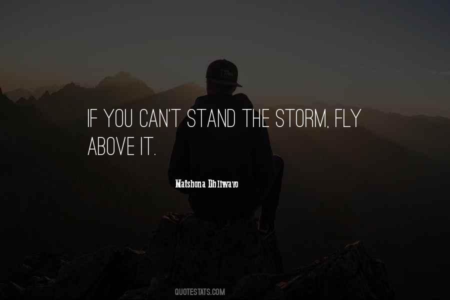 Can't Fly Quotes #474905