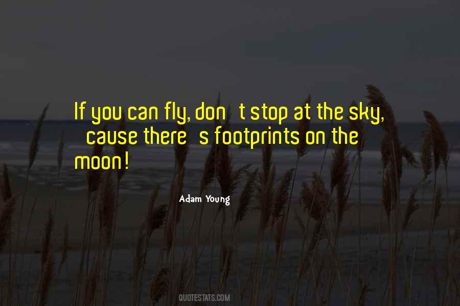 Can't Fly Quotes #584018