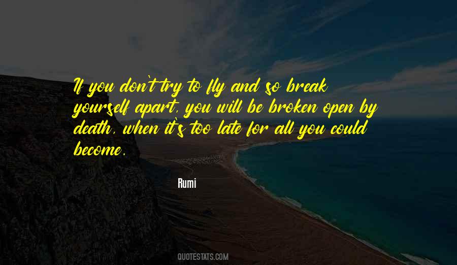 Too Broken Quotes #267348