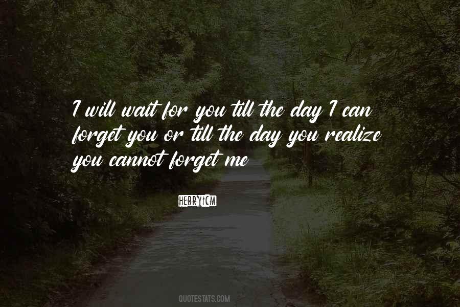 Can't Forget You Love Quotes #1375291