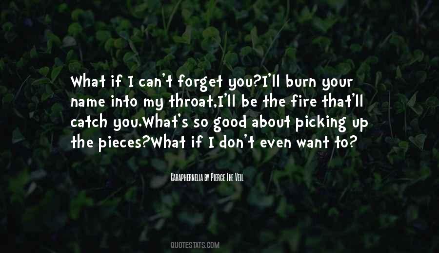 Can't Forget You Quotes #394188