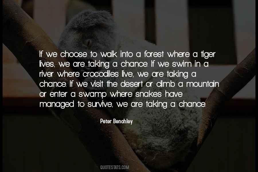Mountain To Climb Quotes #1121538