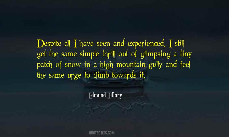 Mountain To Climb Quotes #322759