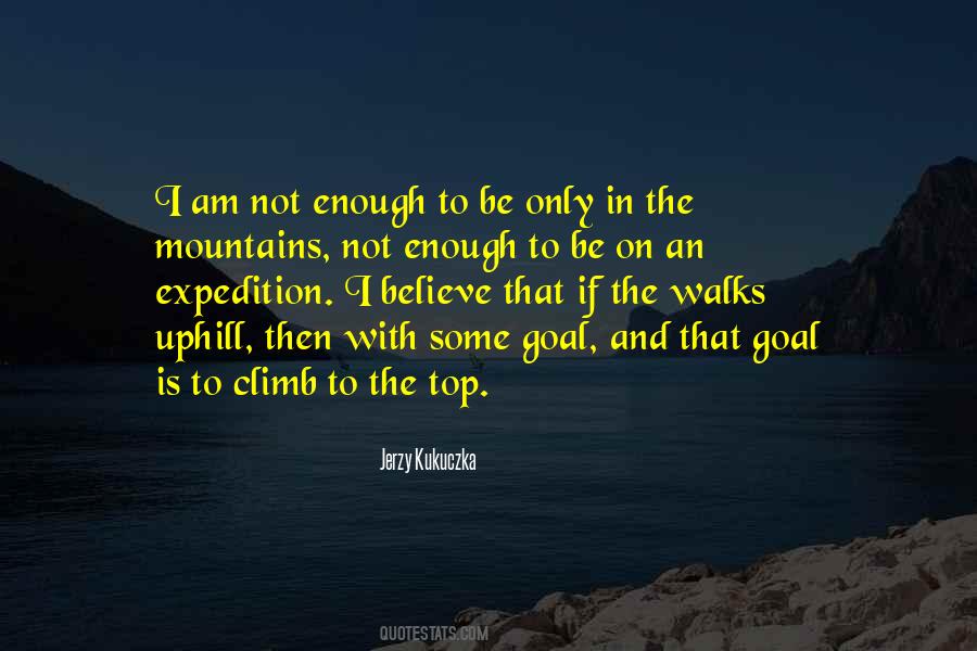 Mountain To Climb Quotes #703887