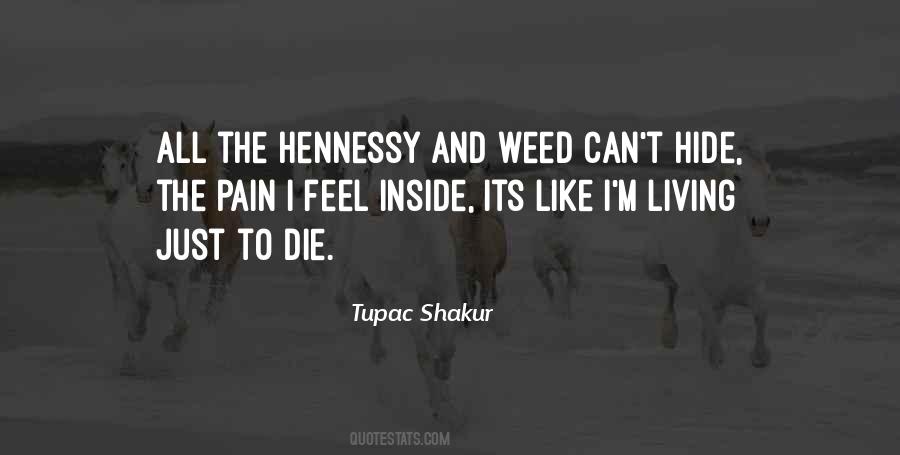 Can't Hide The Pain Quotes #444005