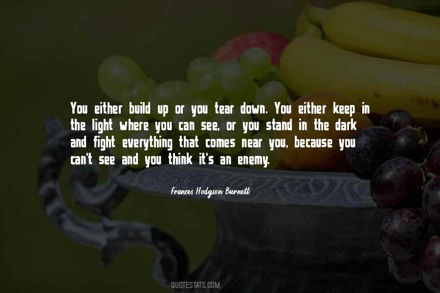 Can't Keep Fighting Quotes #1865128