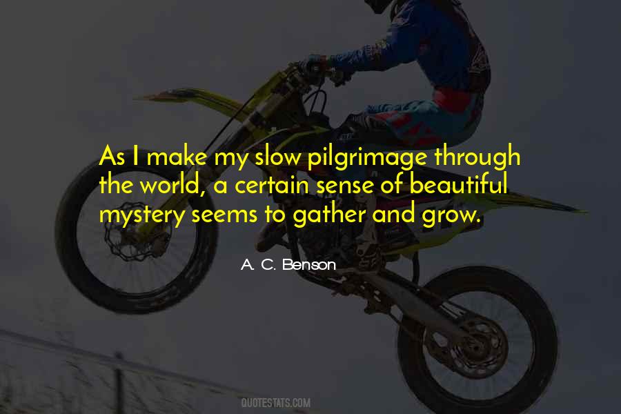Usarian Quotes #459976