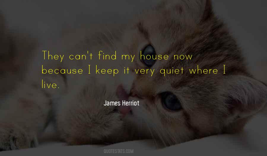 Can't Keep Quiet Quotes #163151