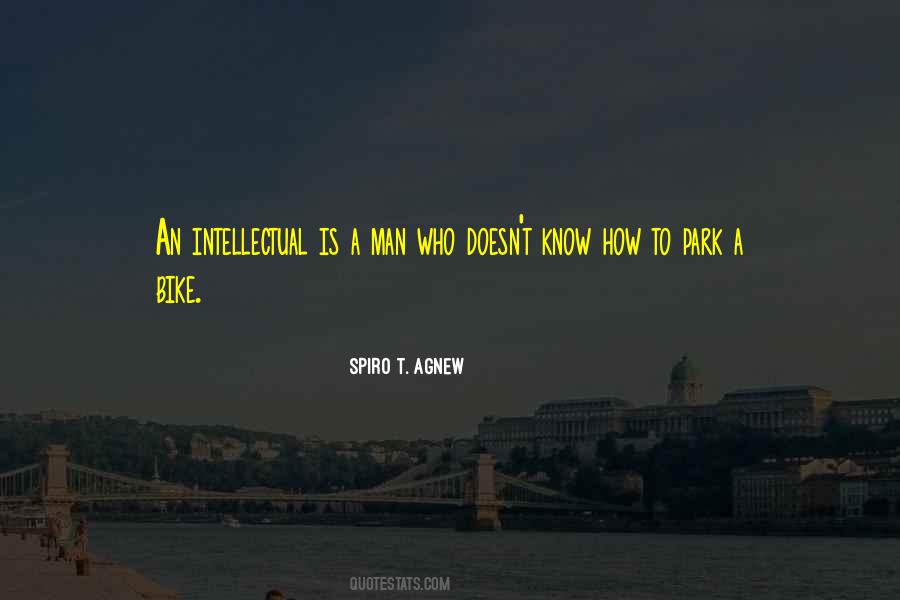 Aiman Minal Pics Quotes #1472736