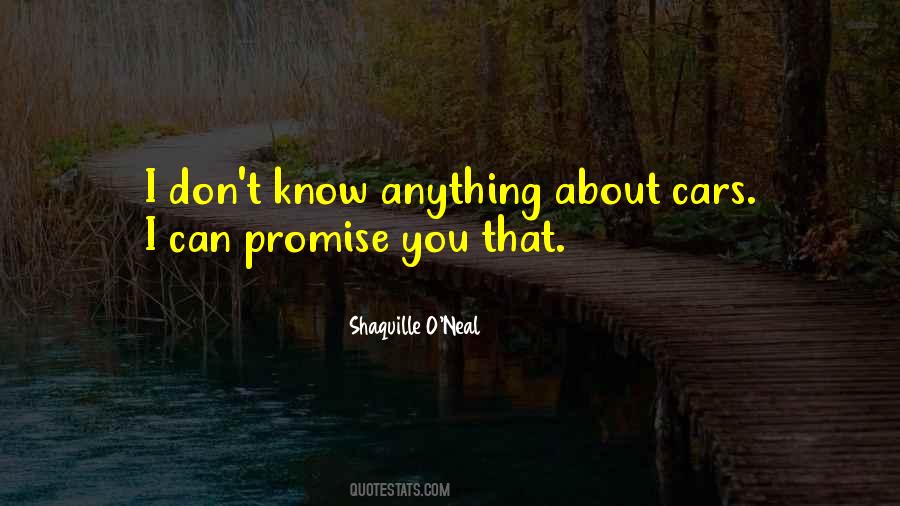 Can't Promise You Quotes #983866