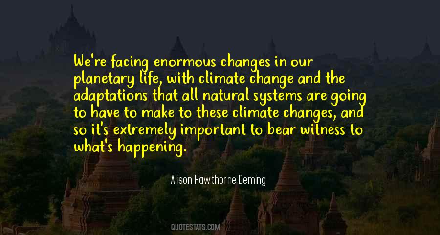 Zennon David Quotes #1371002