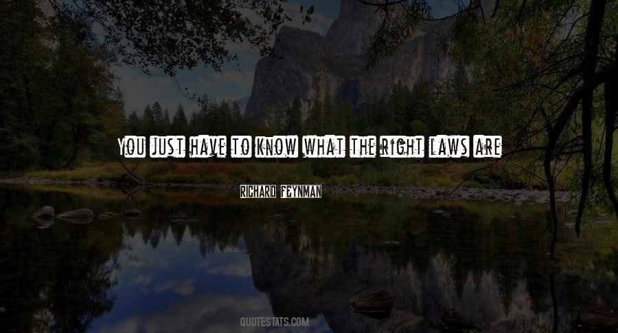 New And The Old Quotes #252233