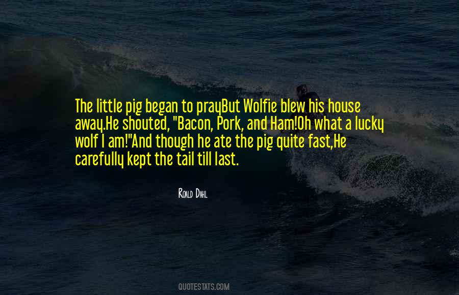 Mr Wolf V The Three Pigs Quotes #650728