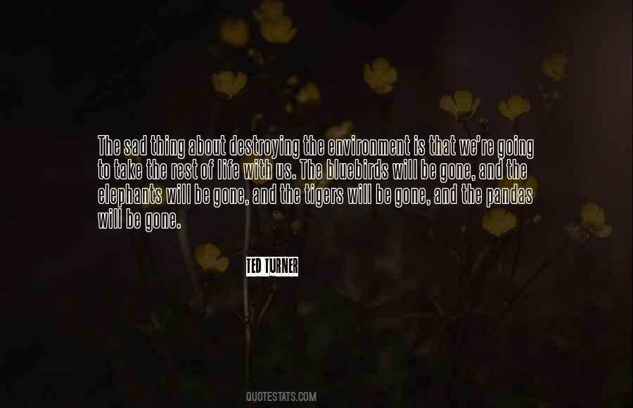 Countryman Movie Quotes #666132
