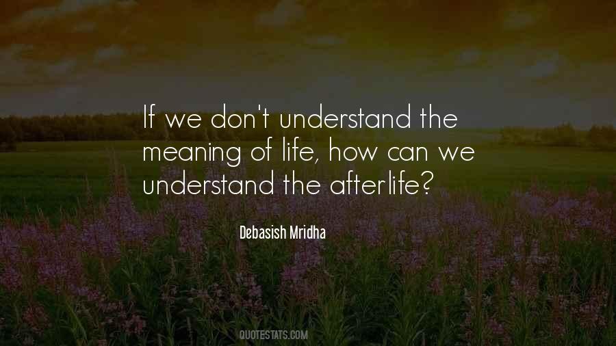 Can't Understand Life Quotes #949404