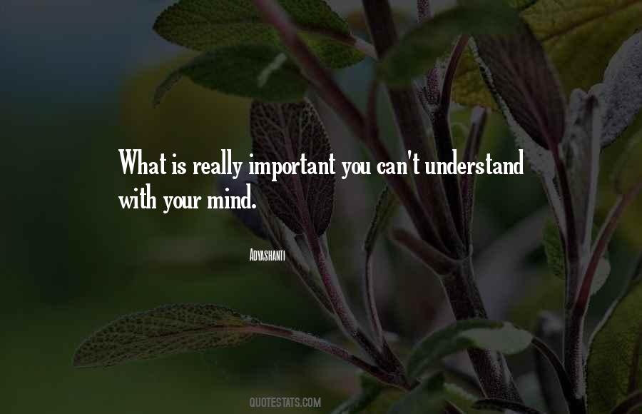 Can't Understand Quotes #1171338