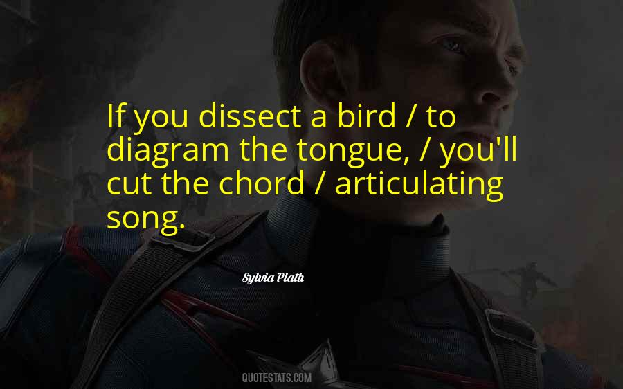 Birds Song Quotes #1838465