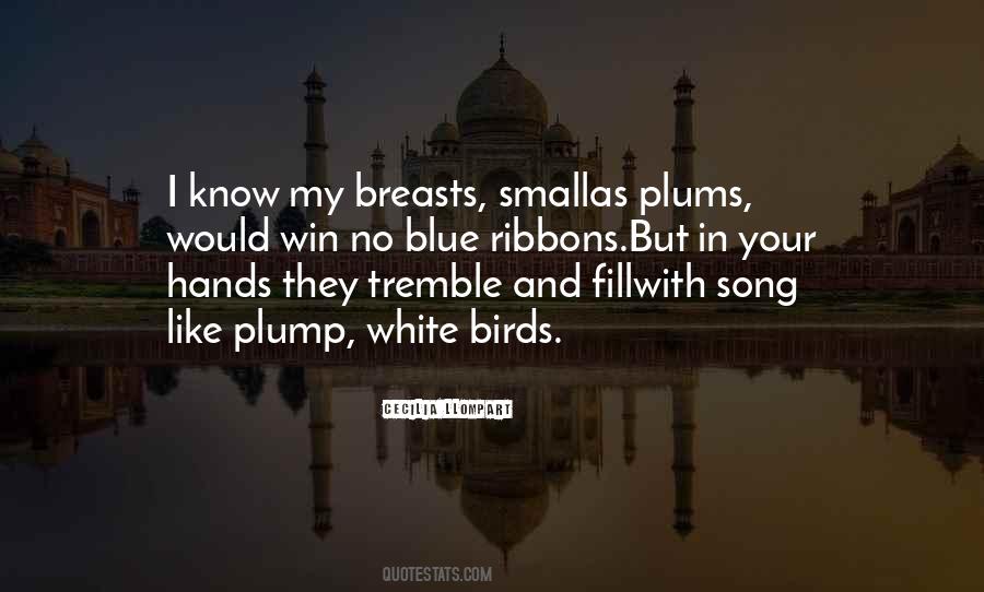 Birds Song Quotes #659342