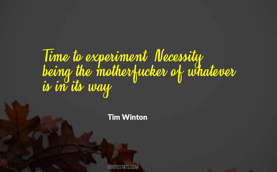 Triathlon Finisher Quotes #427344