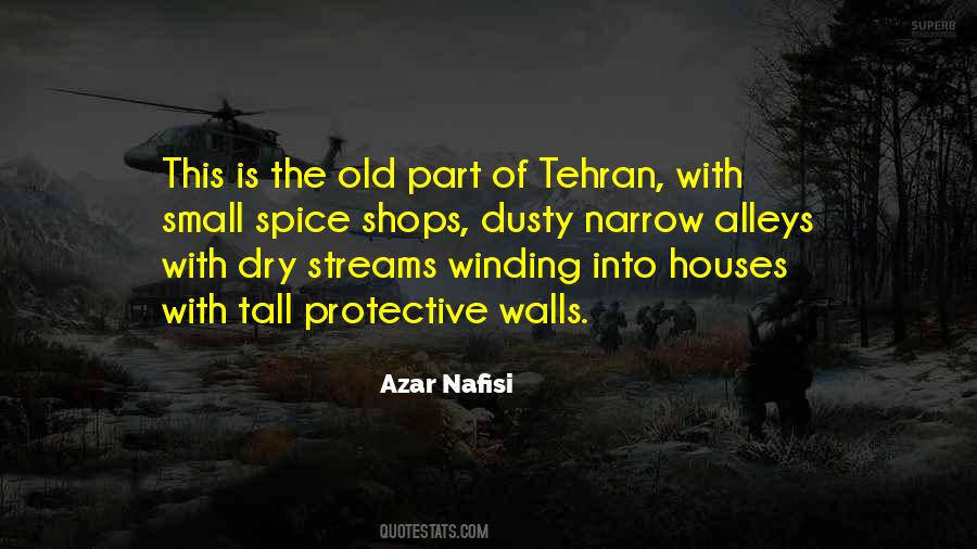 Nafisi Azar Quotes #444524