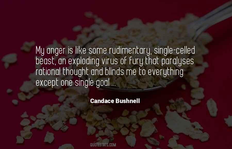 Candace Bushnell Carrie Diaries Quotes #970617