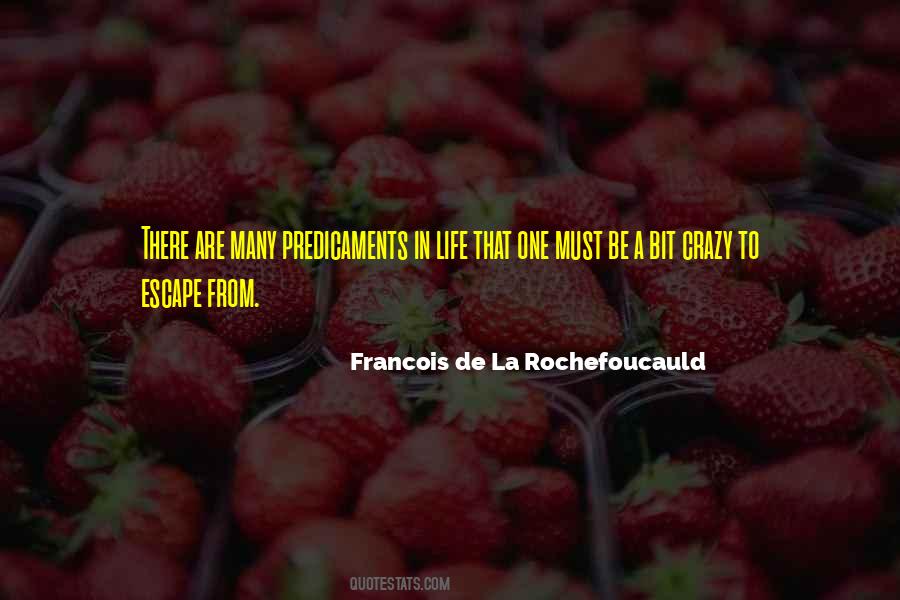 Ashenfelder David Quotes #205864