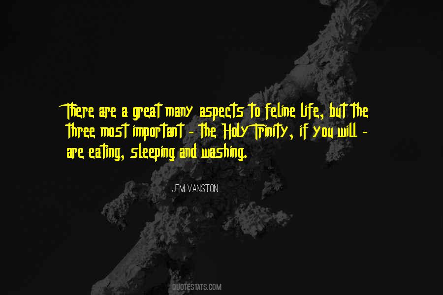 Brainbox Online Quotes #1343068