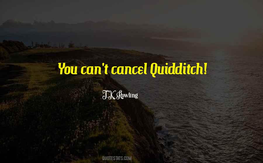 Excitado Significado Quotes #251493