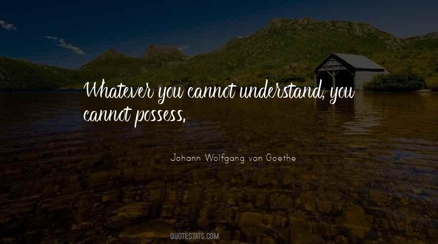 Cannot Understand Quotes #1061152