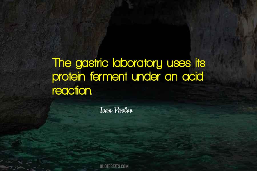 Spittal Beach Quotes #1298676