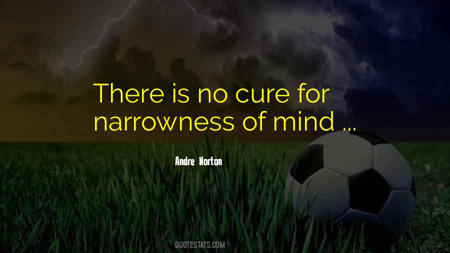 Reuveni Pridan Quotes #888742