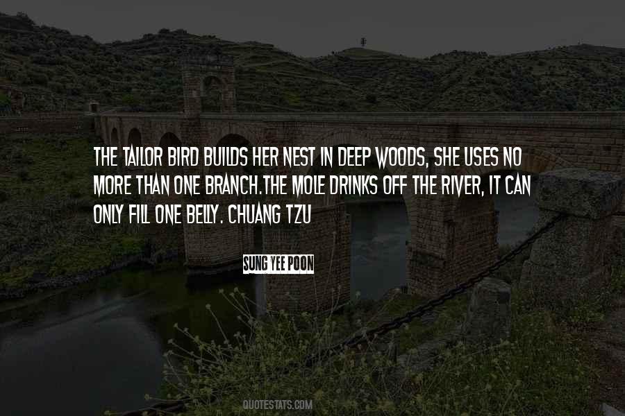 Way Of Chuang Tzu Quotes #1145595