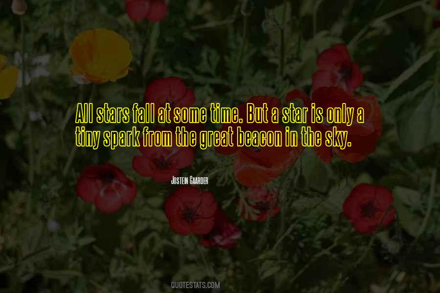 Star In The Sky Quotes #568235