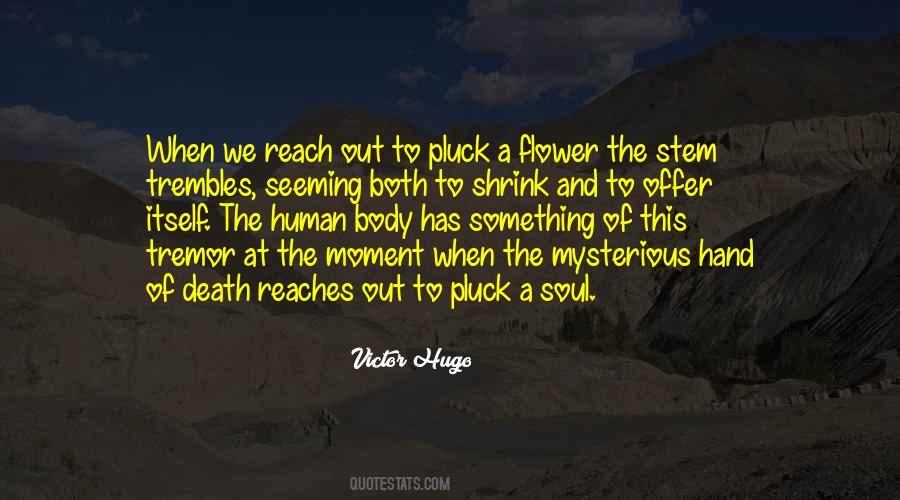 Flower Of The Soul Quotes #1646012