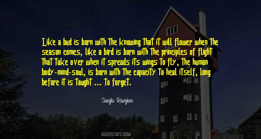 Flower Of The Soul Quotes #953452