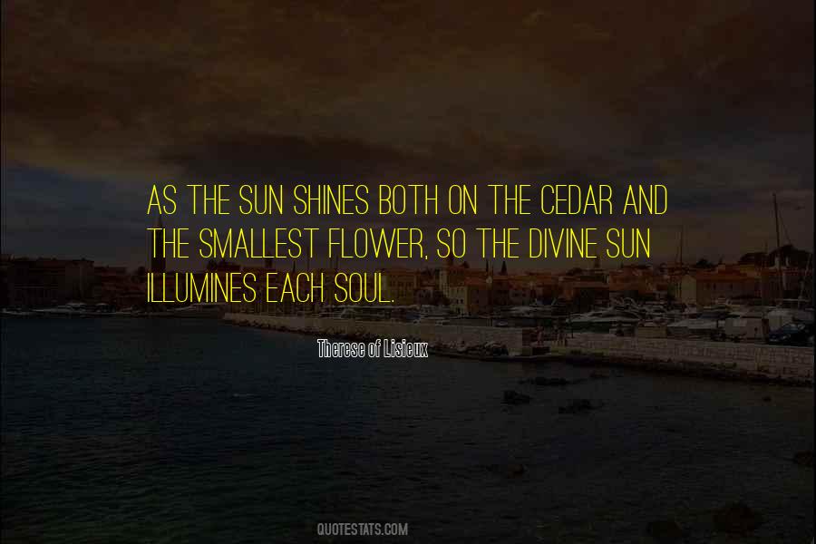 Flower Of The Soul Quotes #980508