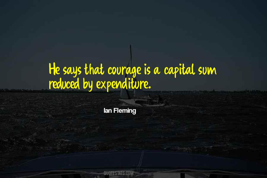 Capital Expenditure Quotes #1230039