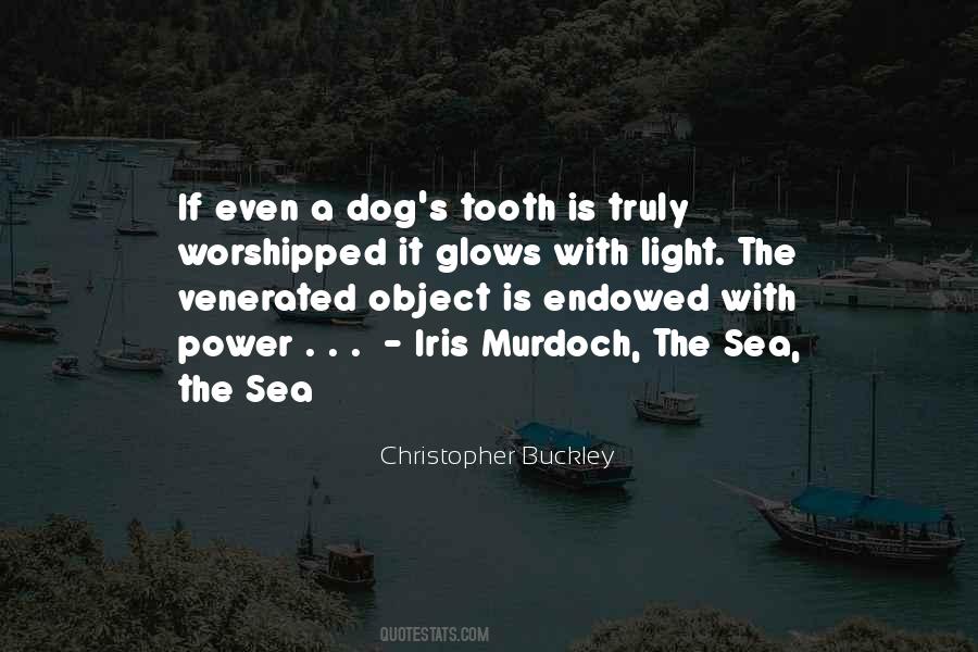 The Tooth Quotes #45387