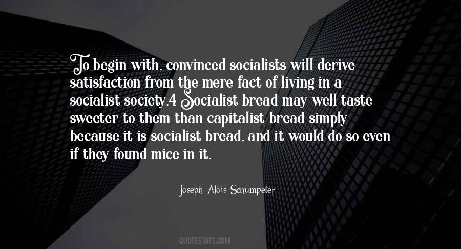 Capitalist Society Quotes #968301