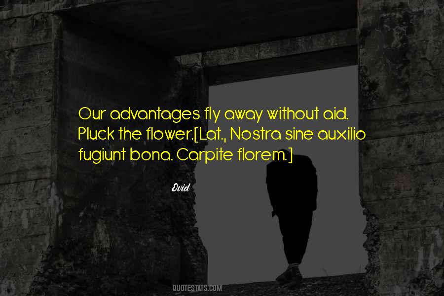 Biegler Timber Quotes #1344594