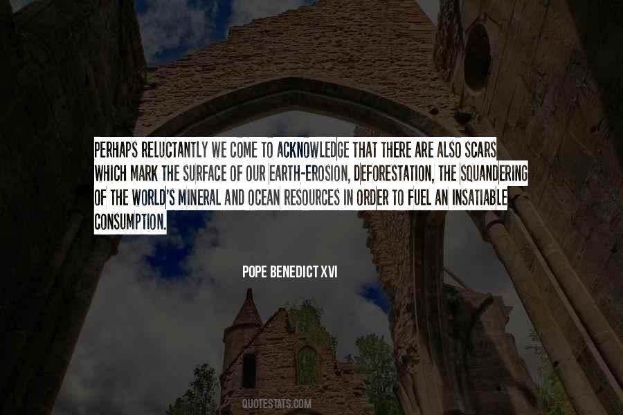 Dinica Sunt Quotes #871719