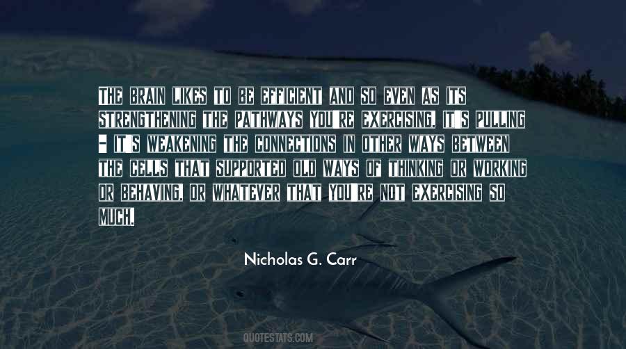 Picchioni Quotes #471412