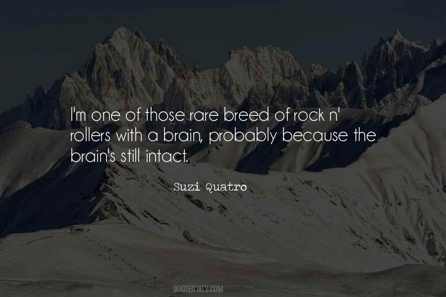 Jennika Kane Quotes #1178341