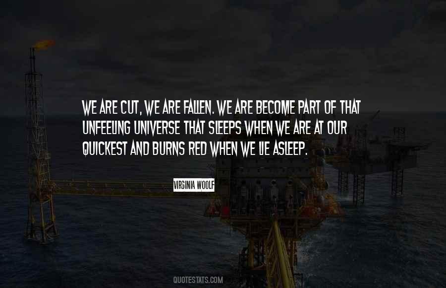 Ischial Ramus Quotes #167860