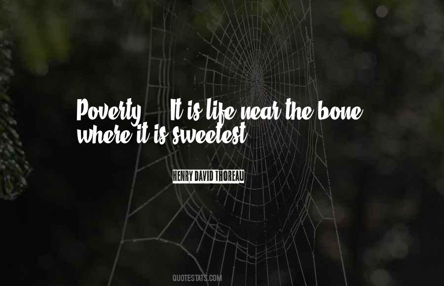 Streltsov Eduard Quotes #869075