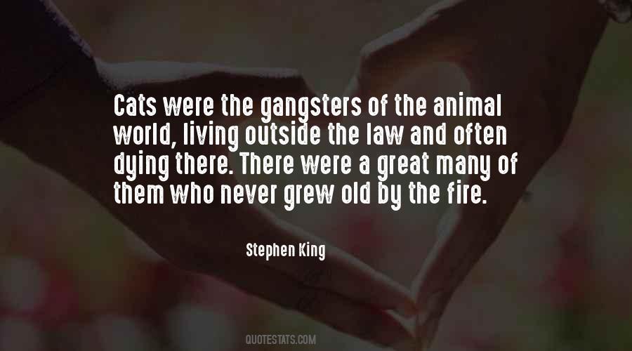 Non Lethal Weapons Quotes #19411