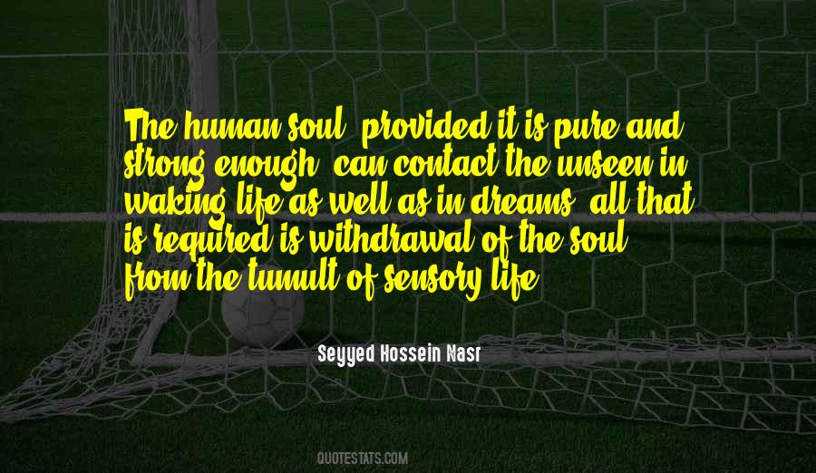 Hossein Quotes #393356