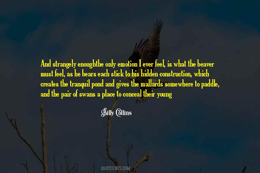 Zorile Bucovinei Quotes #402166