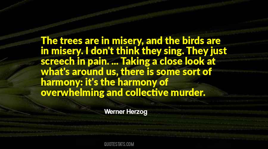Decouple Synonym Quotes #1180684